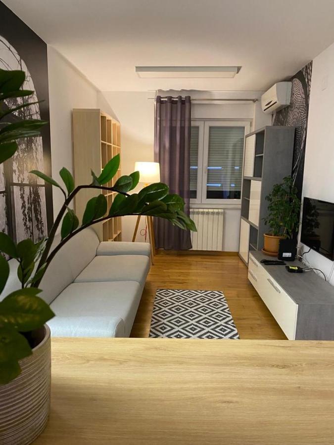Benvenuti Apartments Βελιγράδι Εξωτερικό φωτογραφία